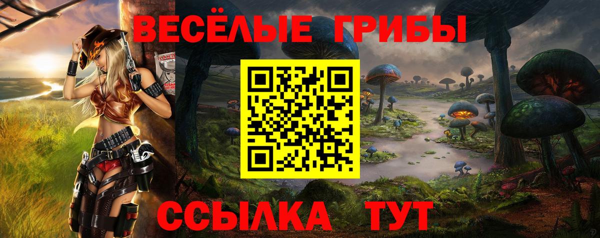 Галлюциногенные грибы Psilocybine cubensis Алапаевск